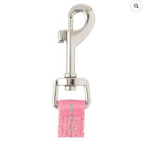 Vibrant Life Reflective Polyester Dog Leash, Pink, Small, 5 feet